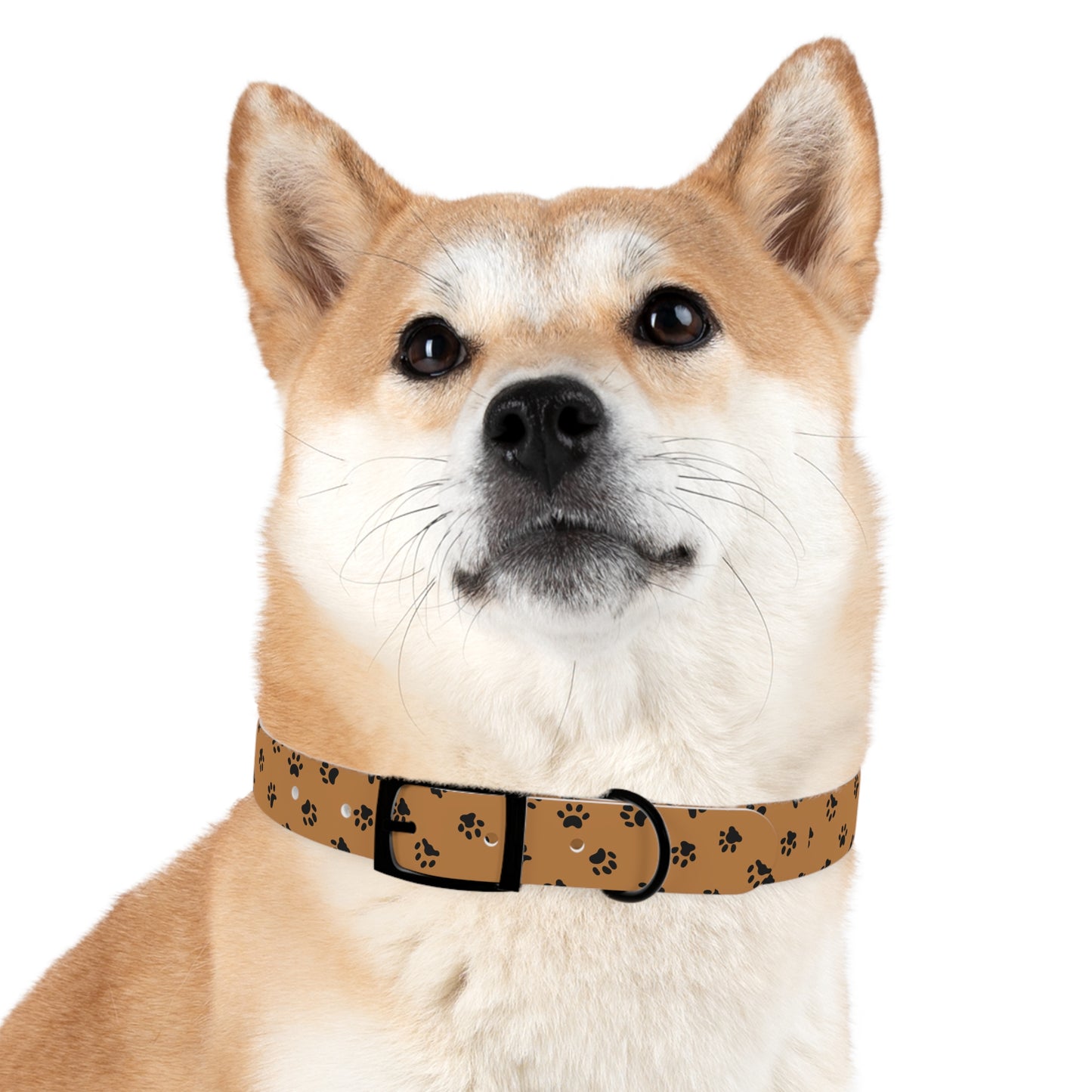 Paw PrintDog Collar