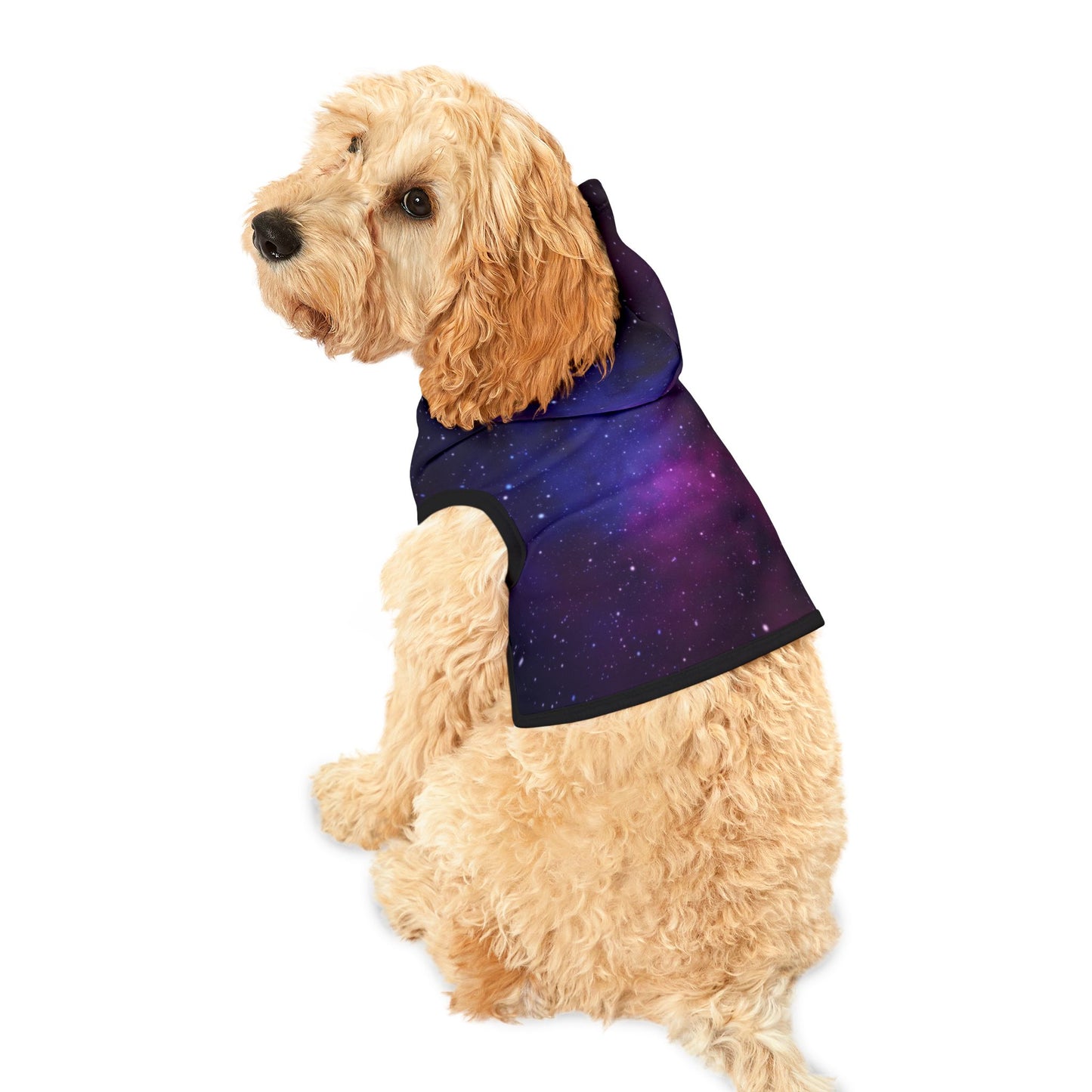 Galaxy Pet Hoodie