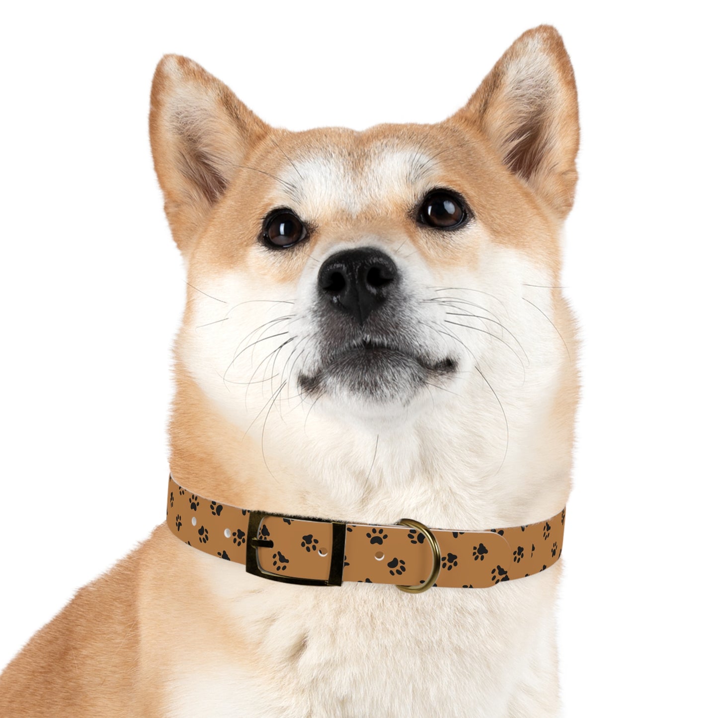 Paw PrintDog Collar