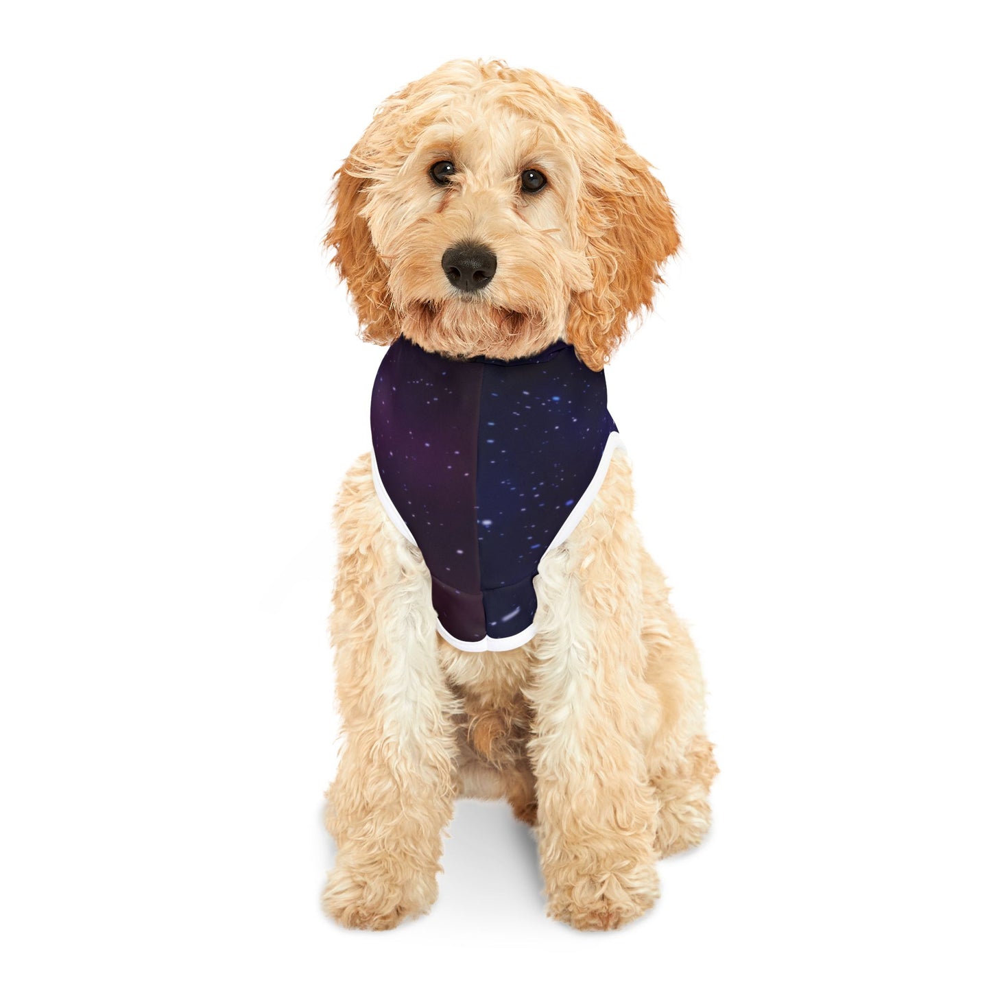 Galaxy Pet Hoodie