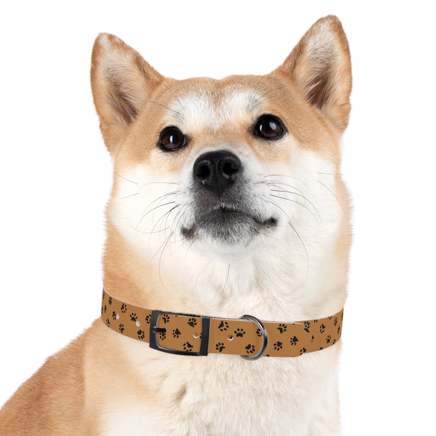 Paw PrintDog Collar