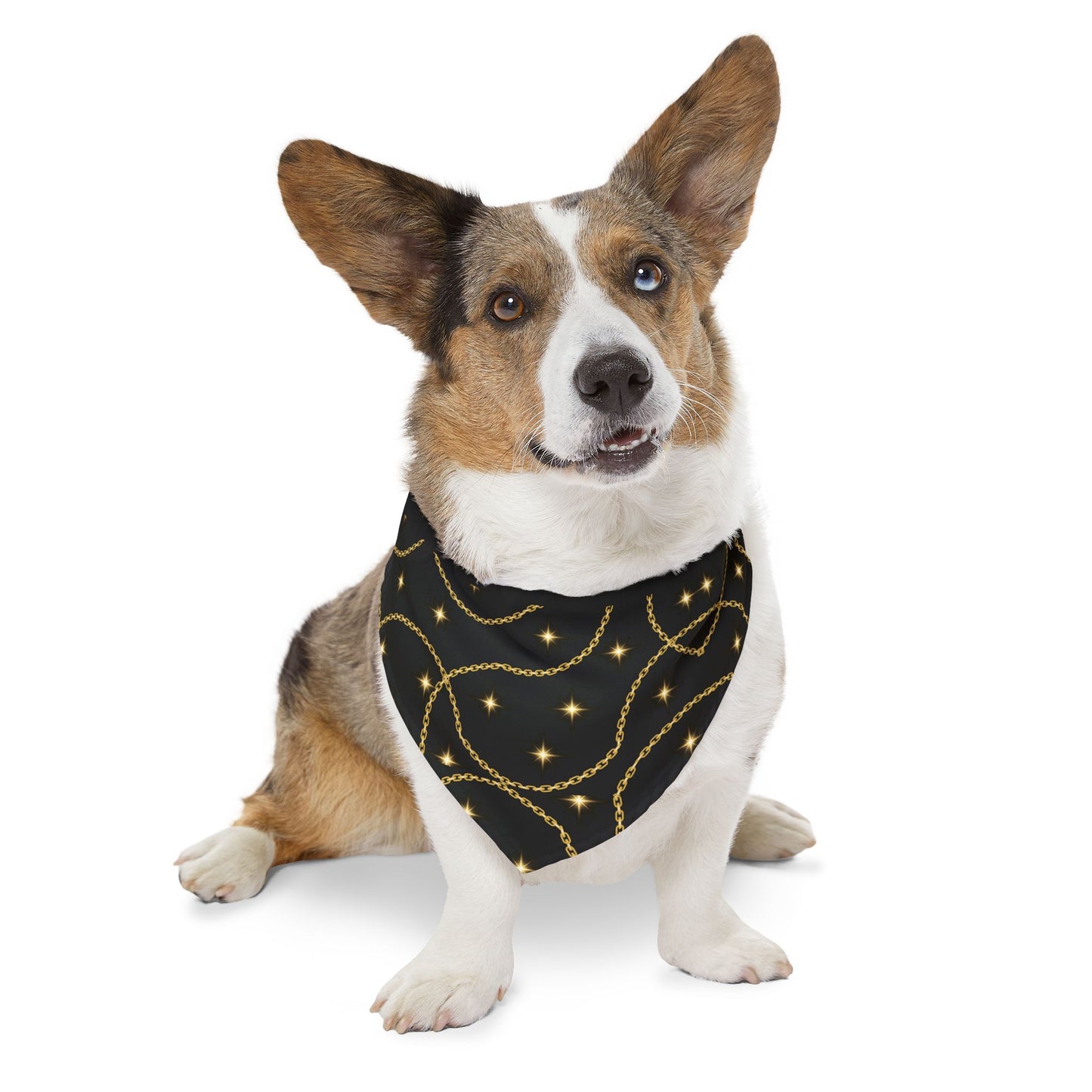 Golden Pet Bandana Collar