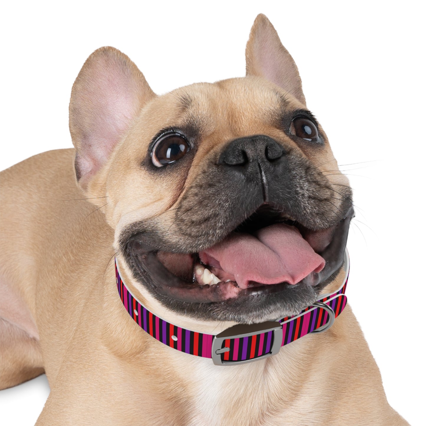 Pink Striped Dog Collar