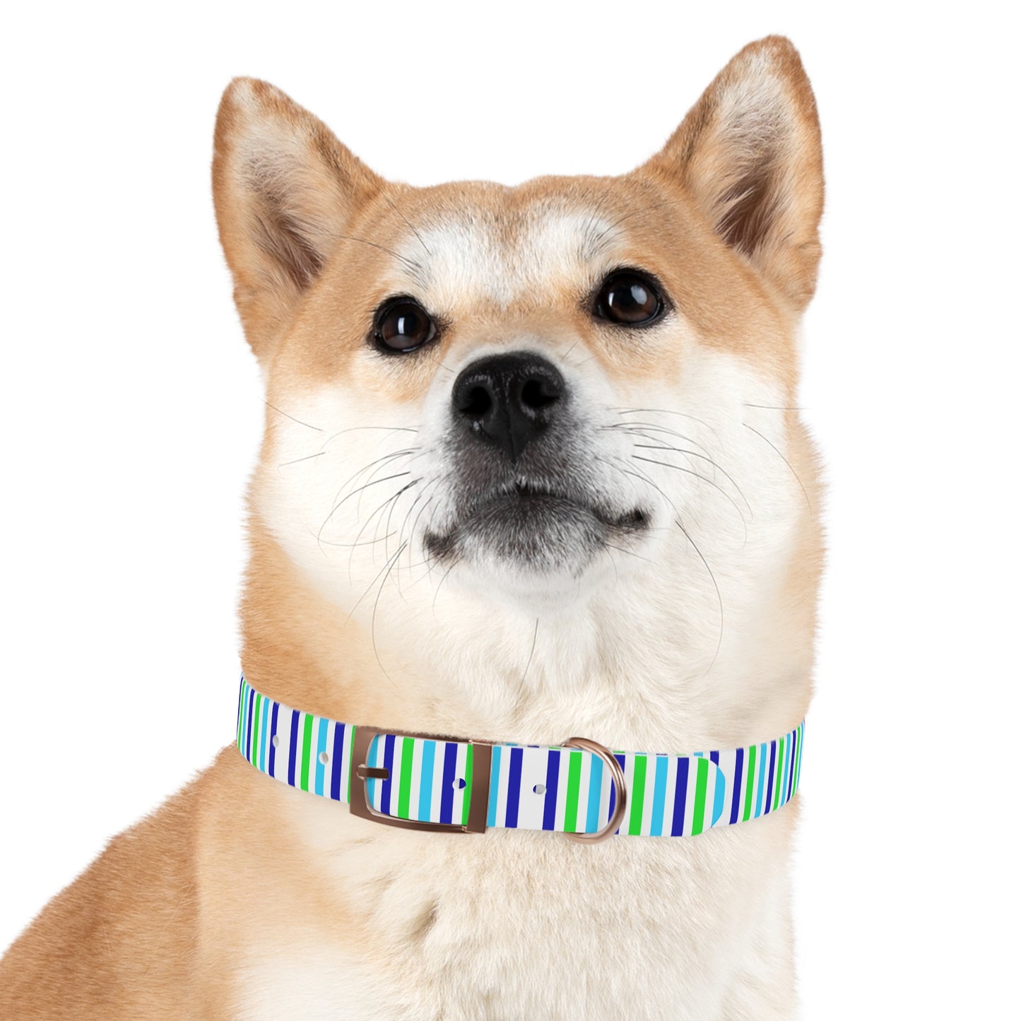 Blue Stripes Dog Collar