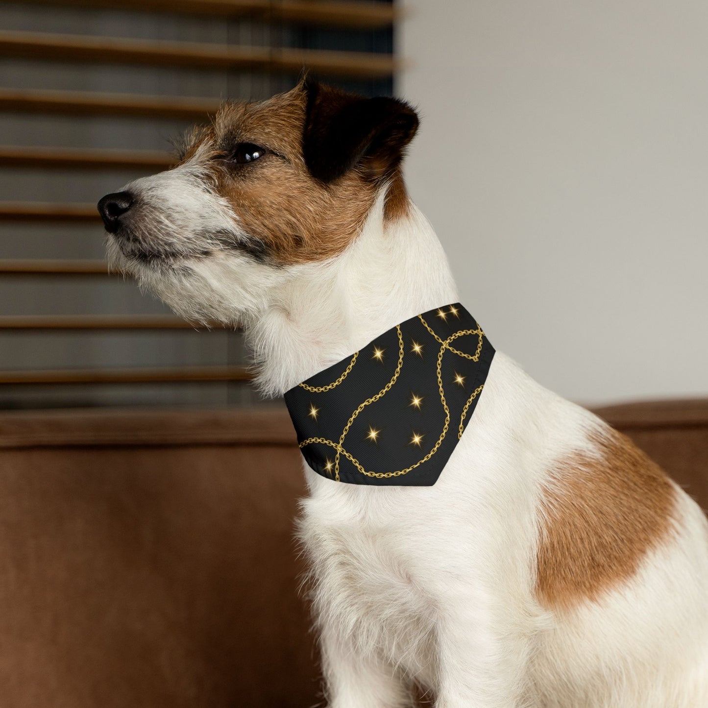 Golden Pet Bandana Collar