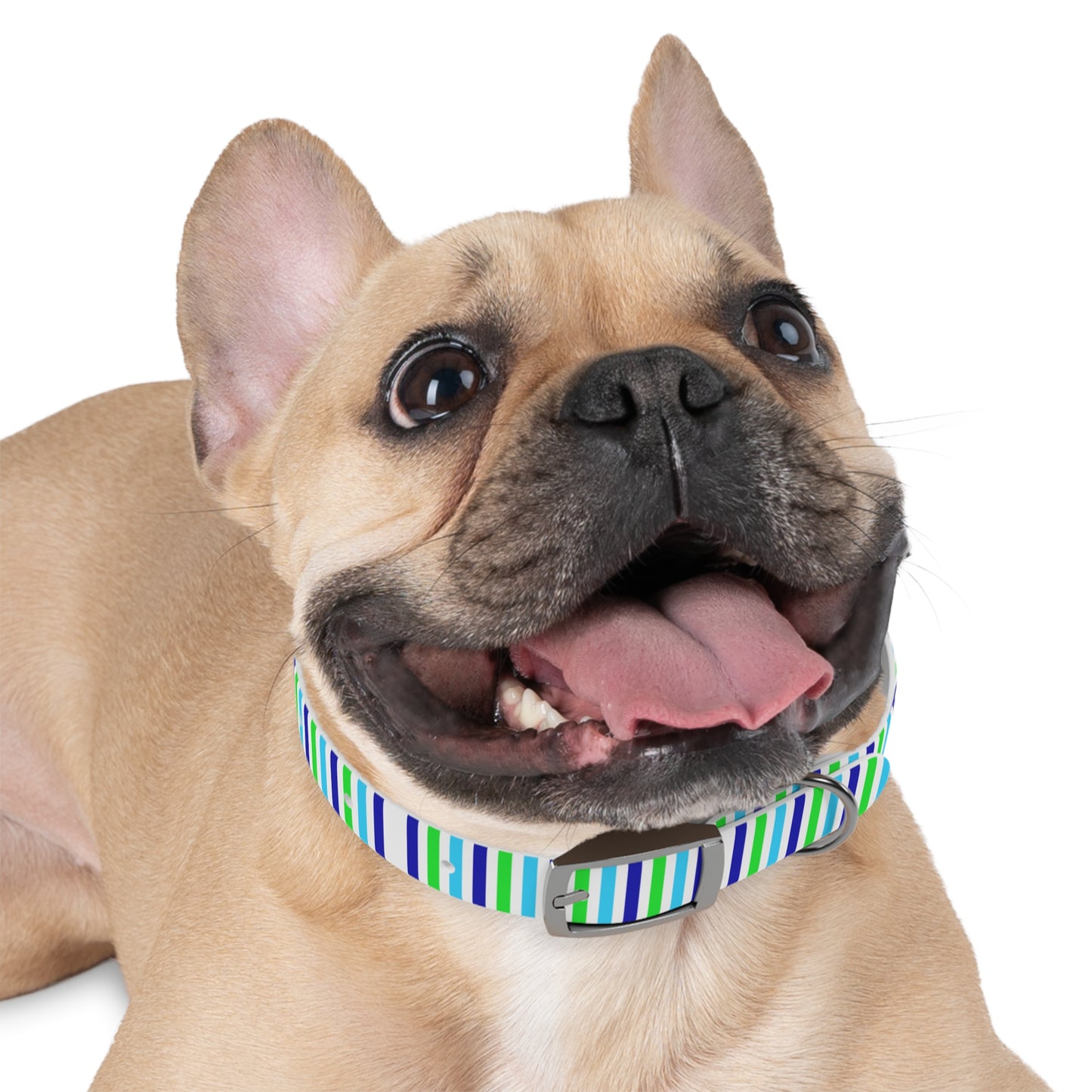 Blue Stripes Dog Collar