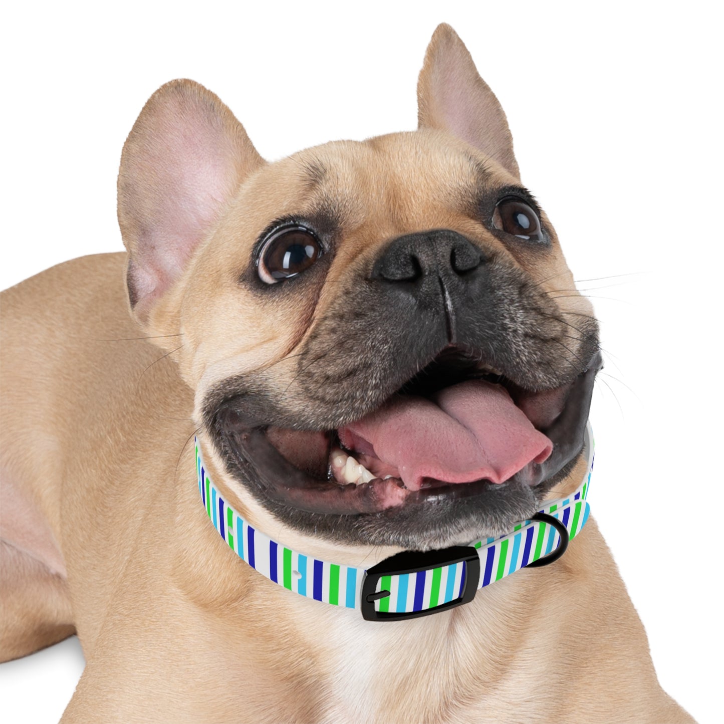 Blue Stripes Dog Collar