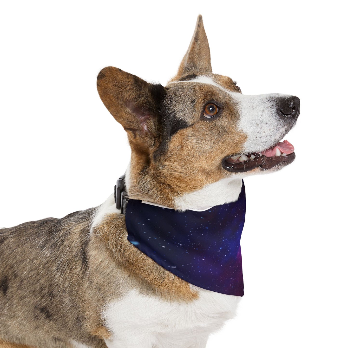 Galaxy Pet Bandana Collar