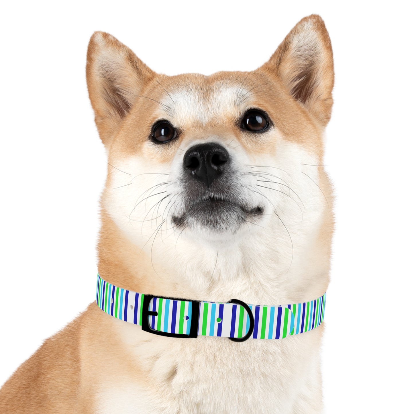 Blue Stripes Dog Collar