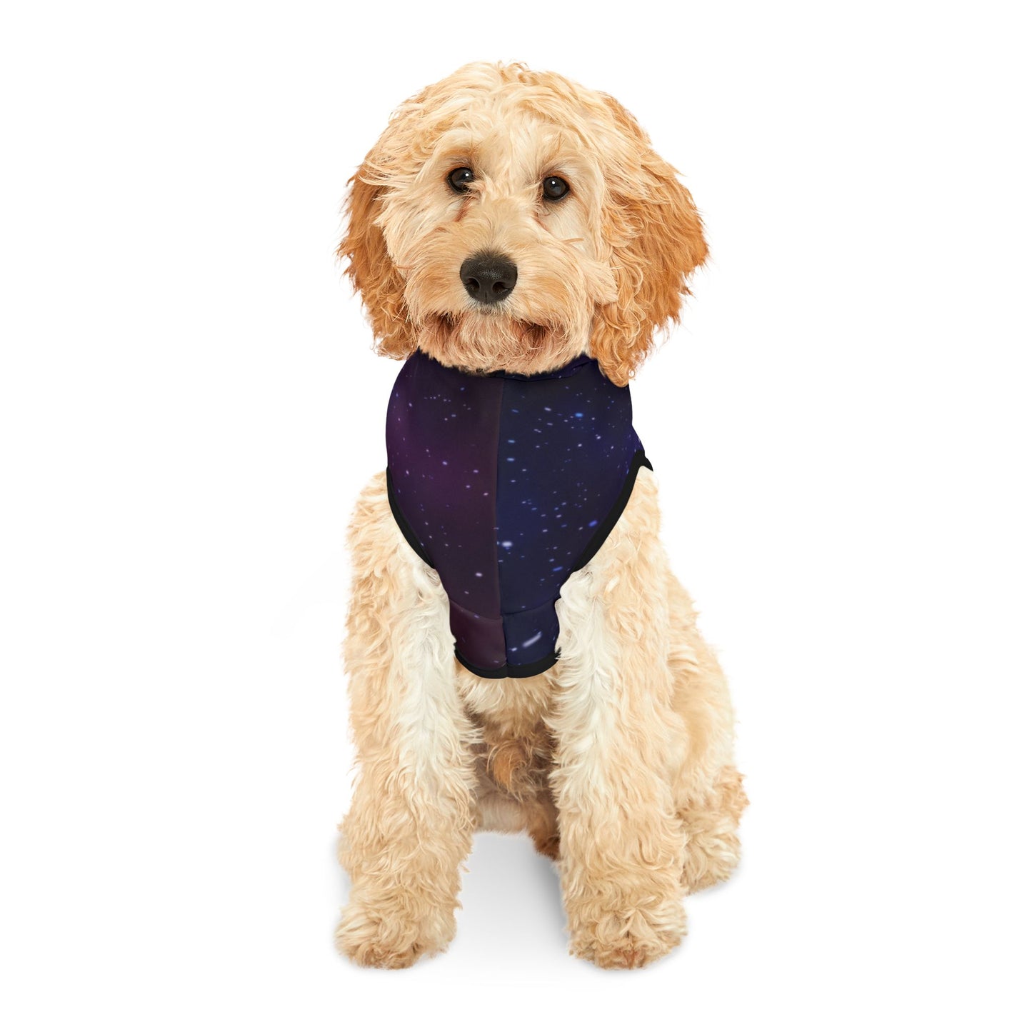 Galaxy Pet Hoodie