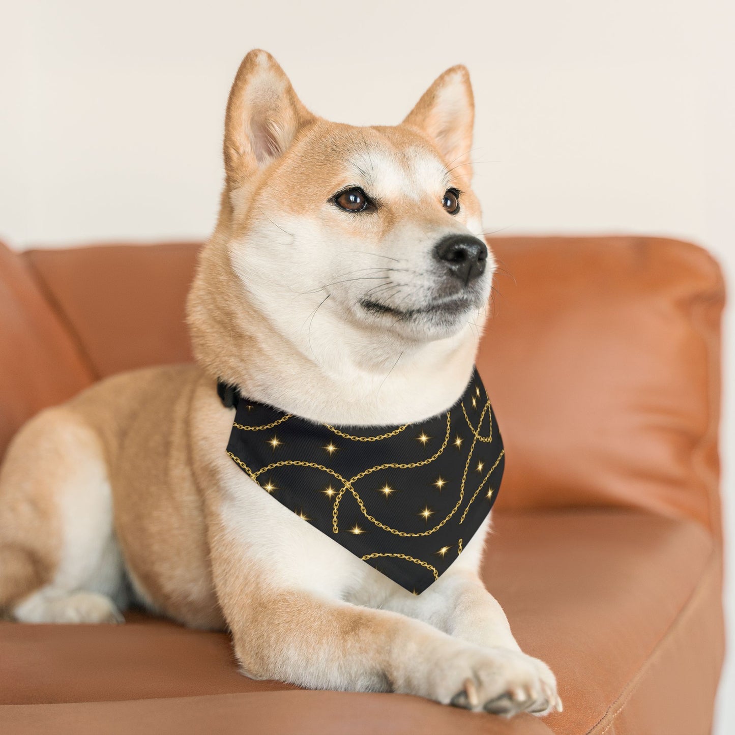 Golden Pet Bandana Collar