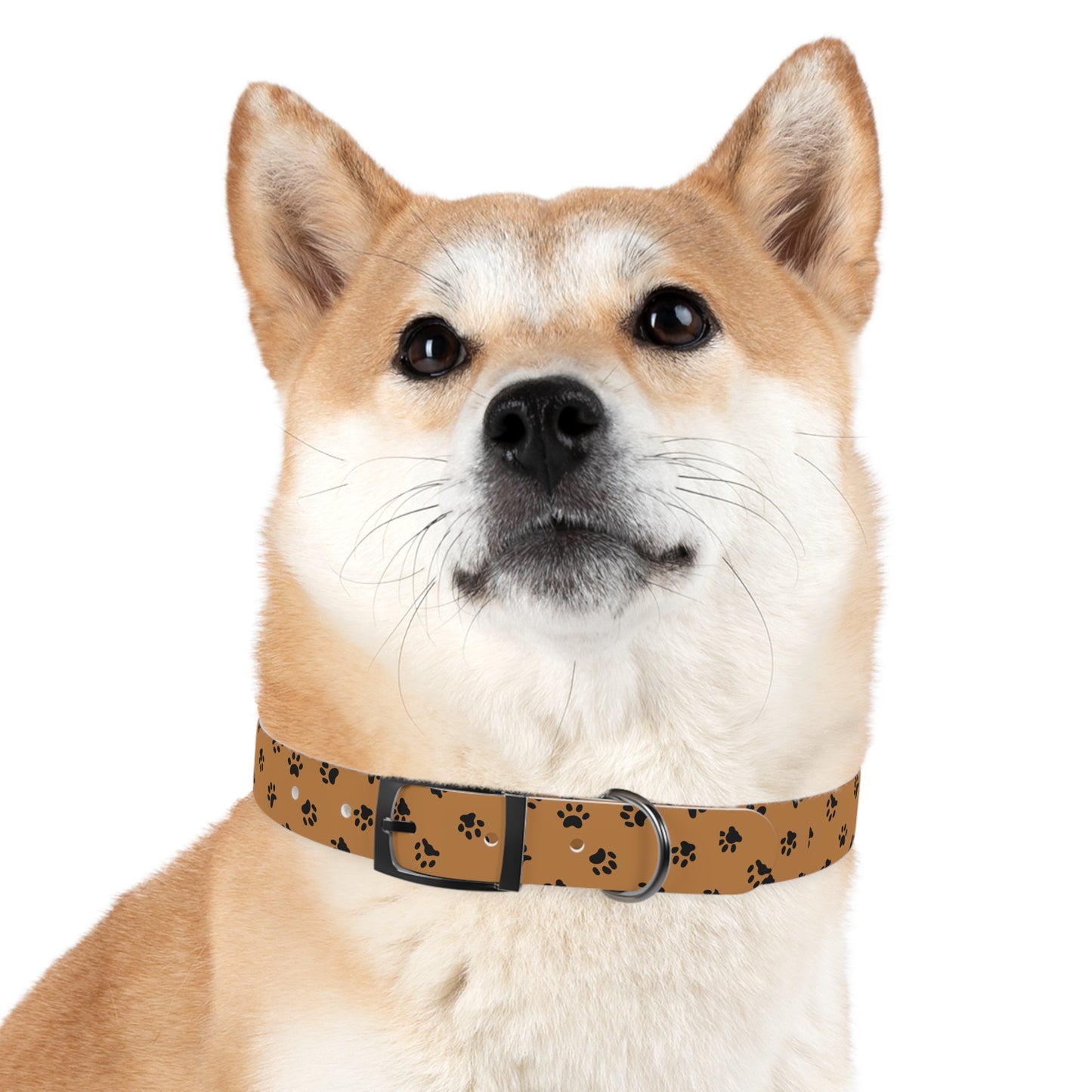 Paw PrintDog Collar