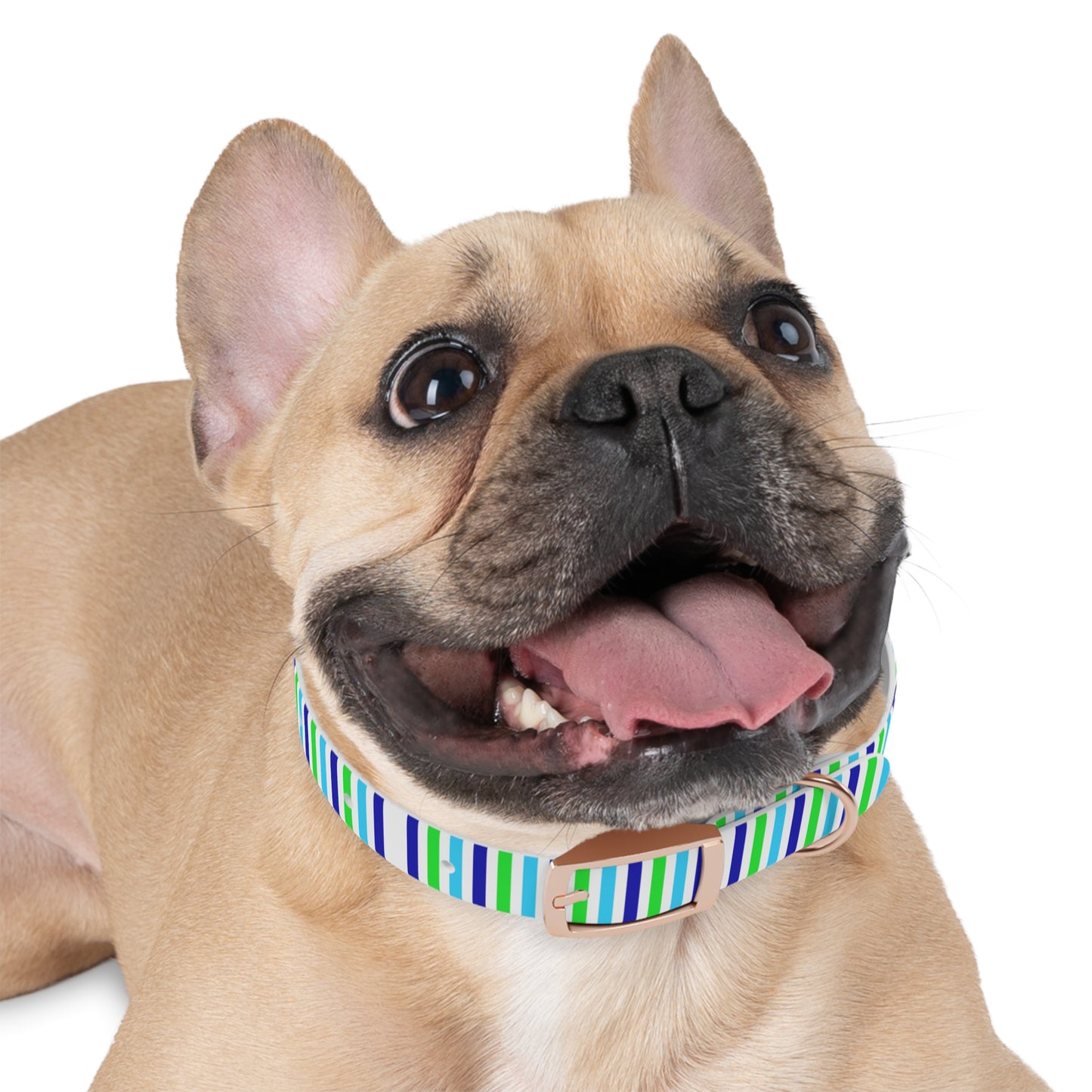 Blue Stripes Dog Collar