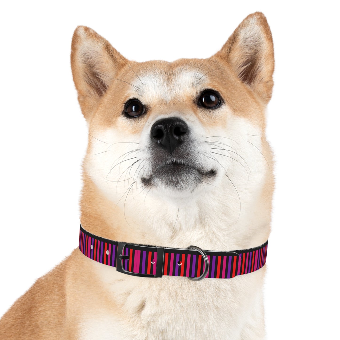 Pink Striped Dog Collar