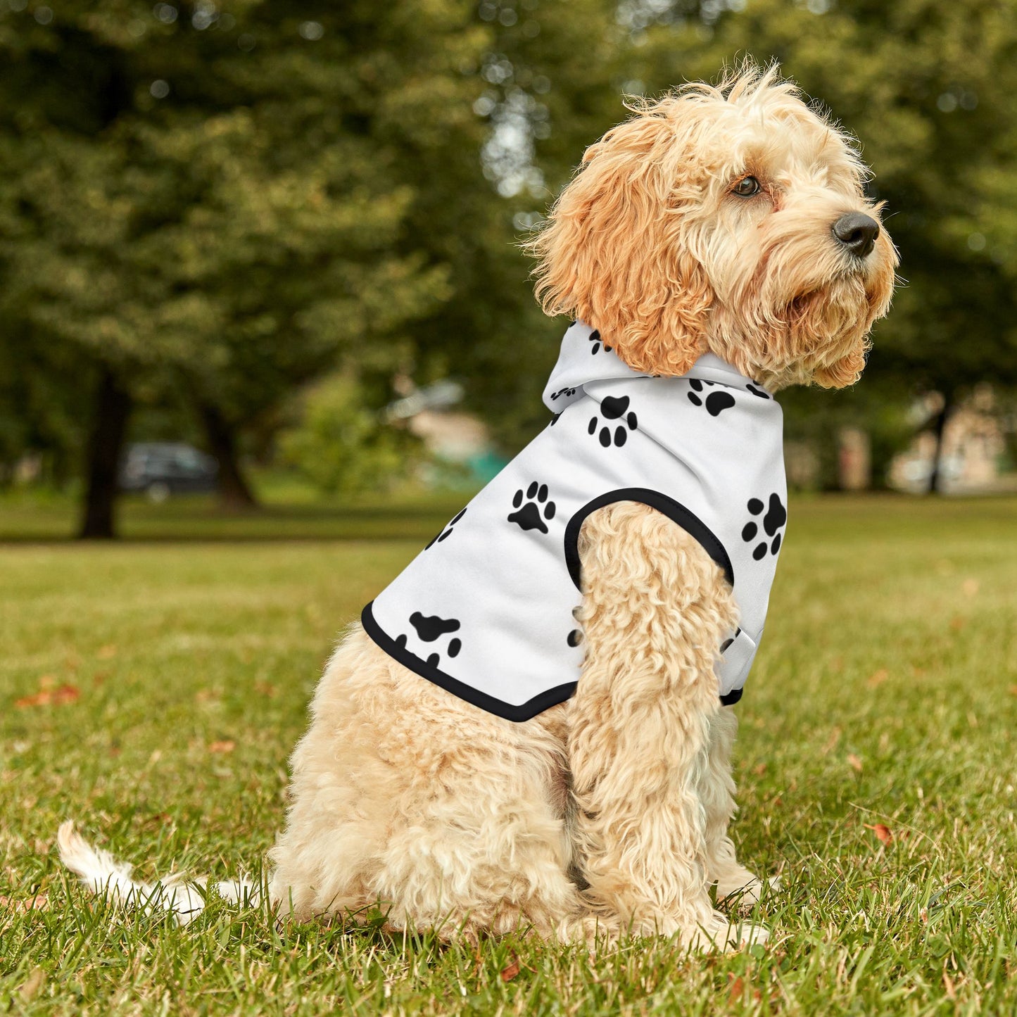 Paw Print Pet Hoodie