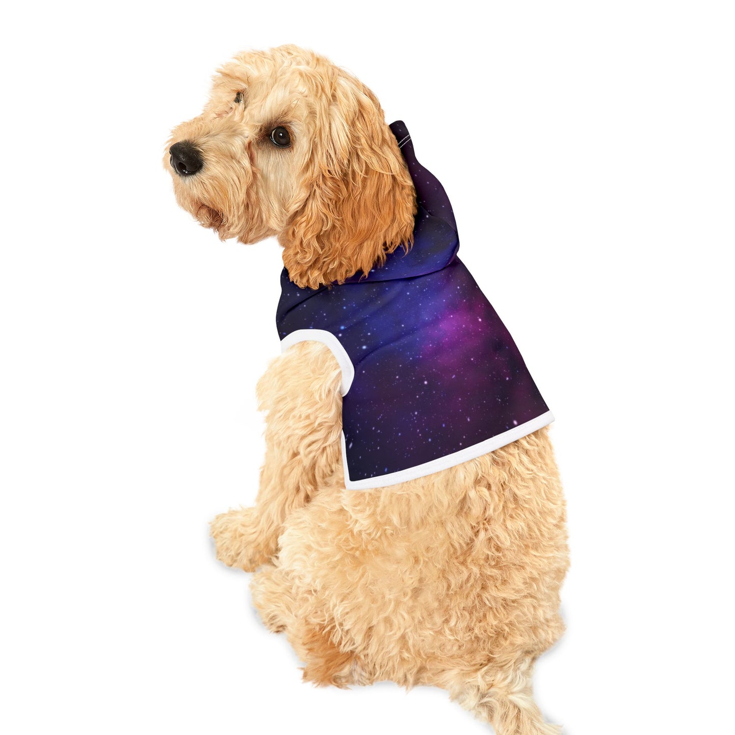 Galaxy Pet Hoodie