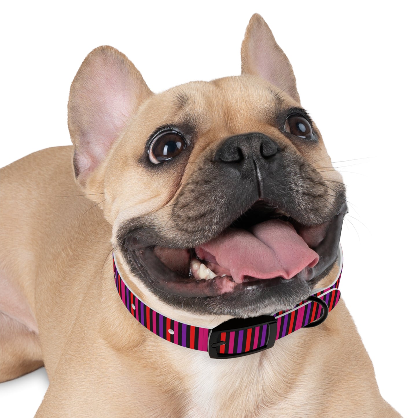 Pink Striped Dog Collar