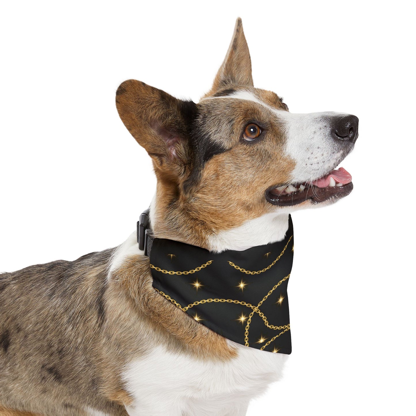 Golden Pet Bandana Collar