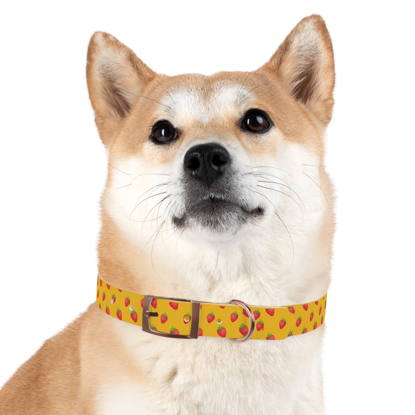 Strawberry Dog Collar