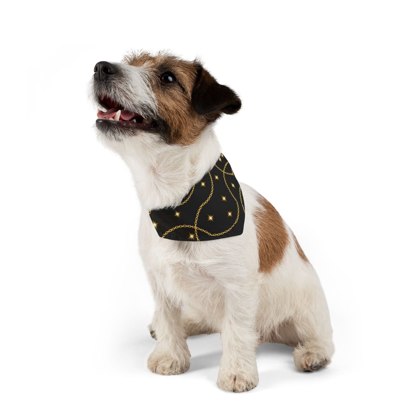 Golden Pet Bandana Collar