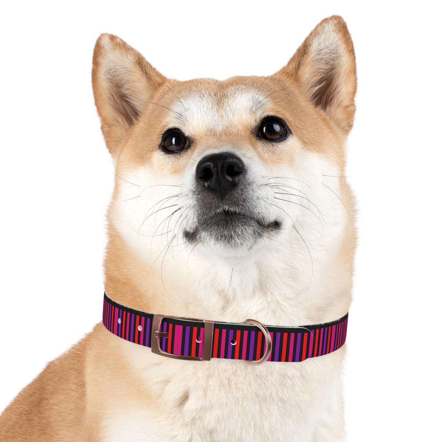 Pink Striped Dog Collar