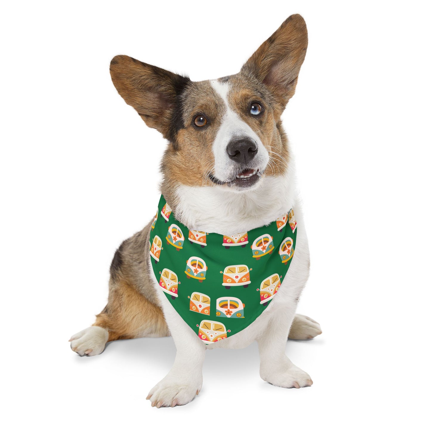 Ridin’ Groovy Pet Bandana Collar