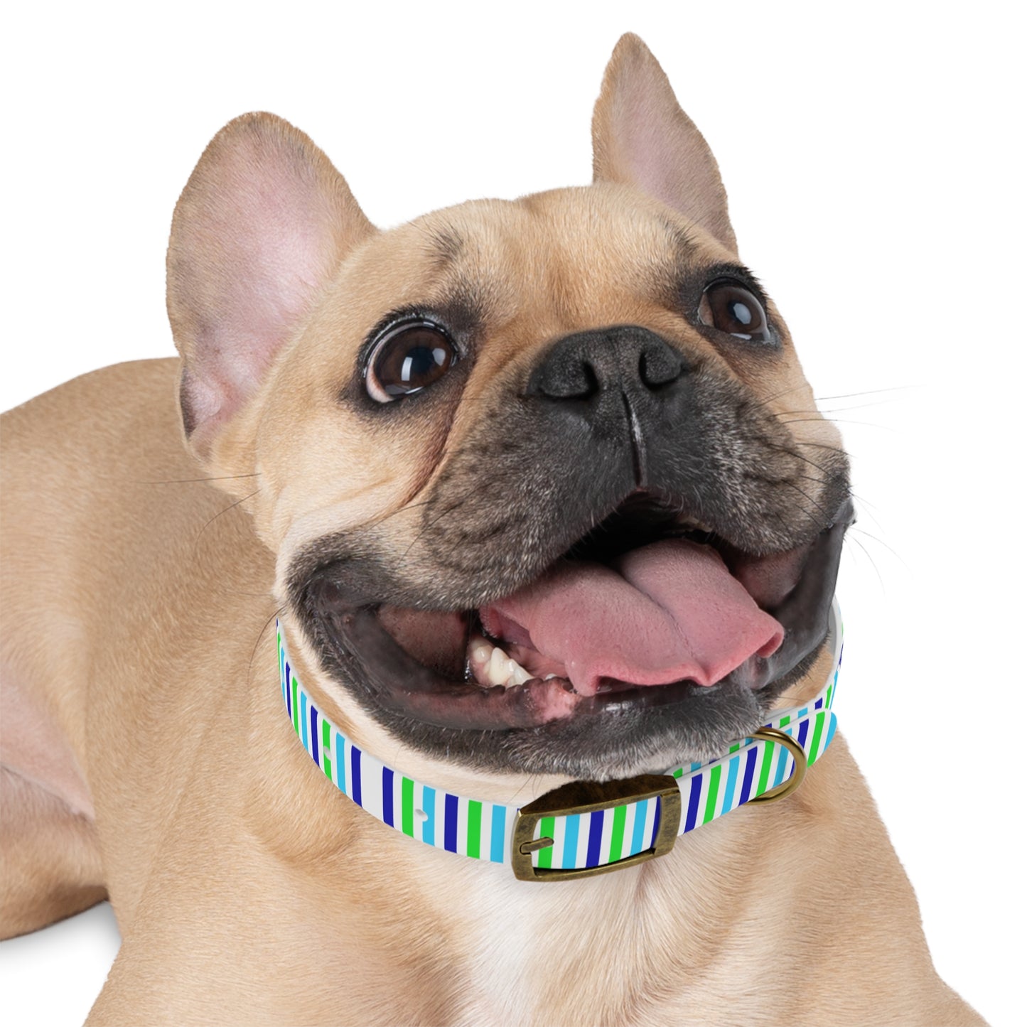 Blue Stripes Dog Collar