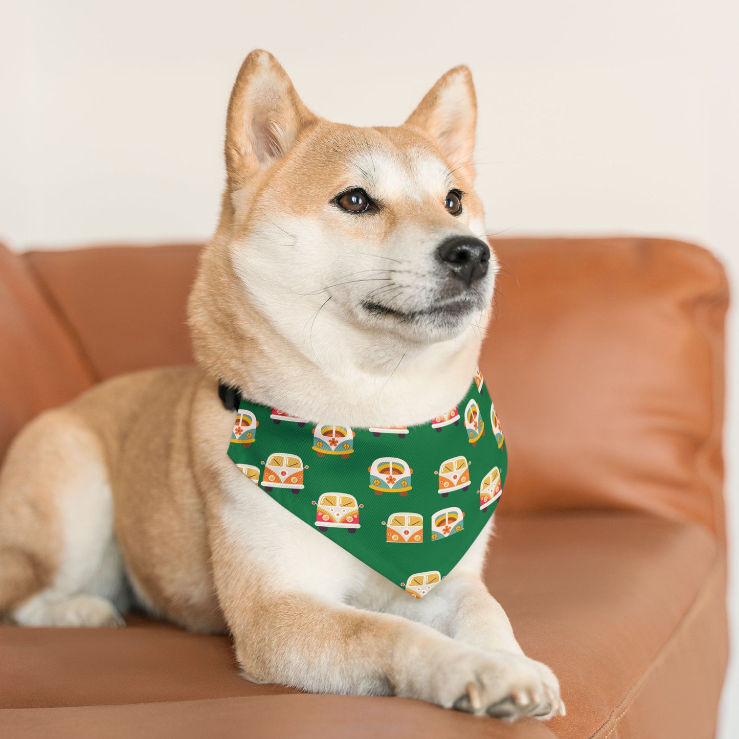 Ridin’ Groovy Pet Bandana Collar