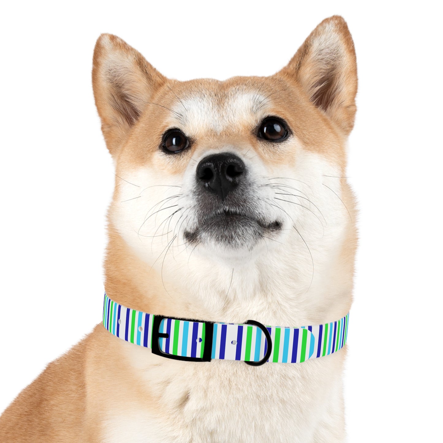 Blue Stripes Dog Collar